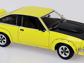 Holden A9X Torana 308 Factory Car - Yellow